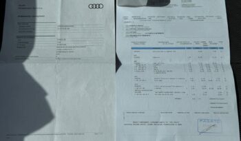 Audi Q2 – 2019 pieno