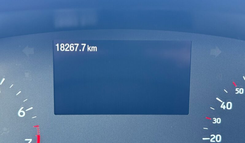 Ford Fiesta – 11/2023 18000 km !!! pieno